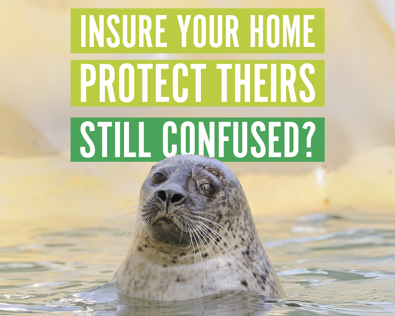 Insure your home, protect theirs. Still confused?